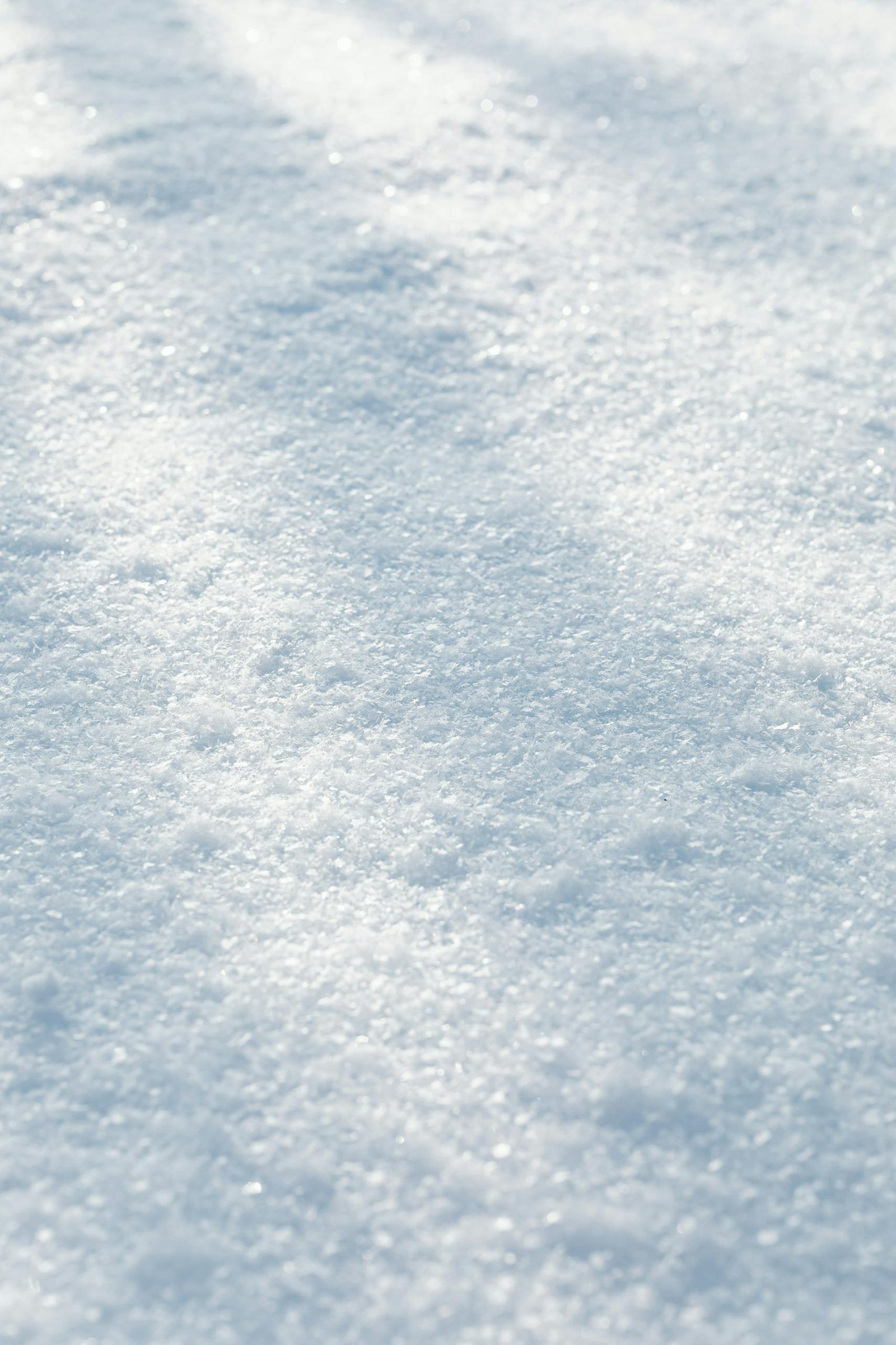 A detailed view of delicate snow texture sparkling in natural winter light.
