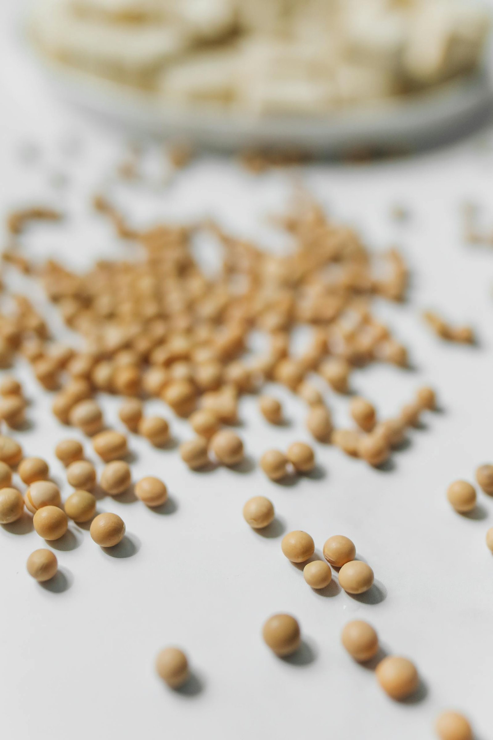 Close-up image of scattered soybeans on a white surface, showcasing texture and detail.