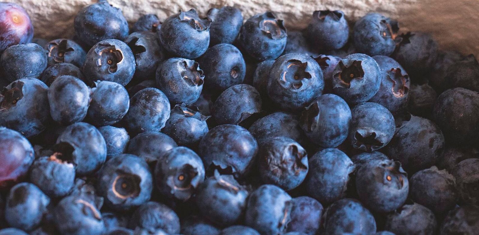 Close-up of fresh blueberries, blackberries, and raspberries at a market, showcasing vibrant colors and freshness.