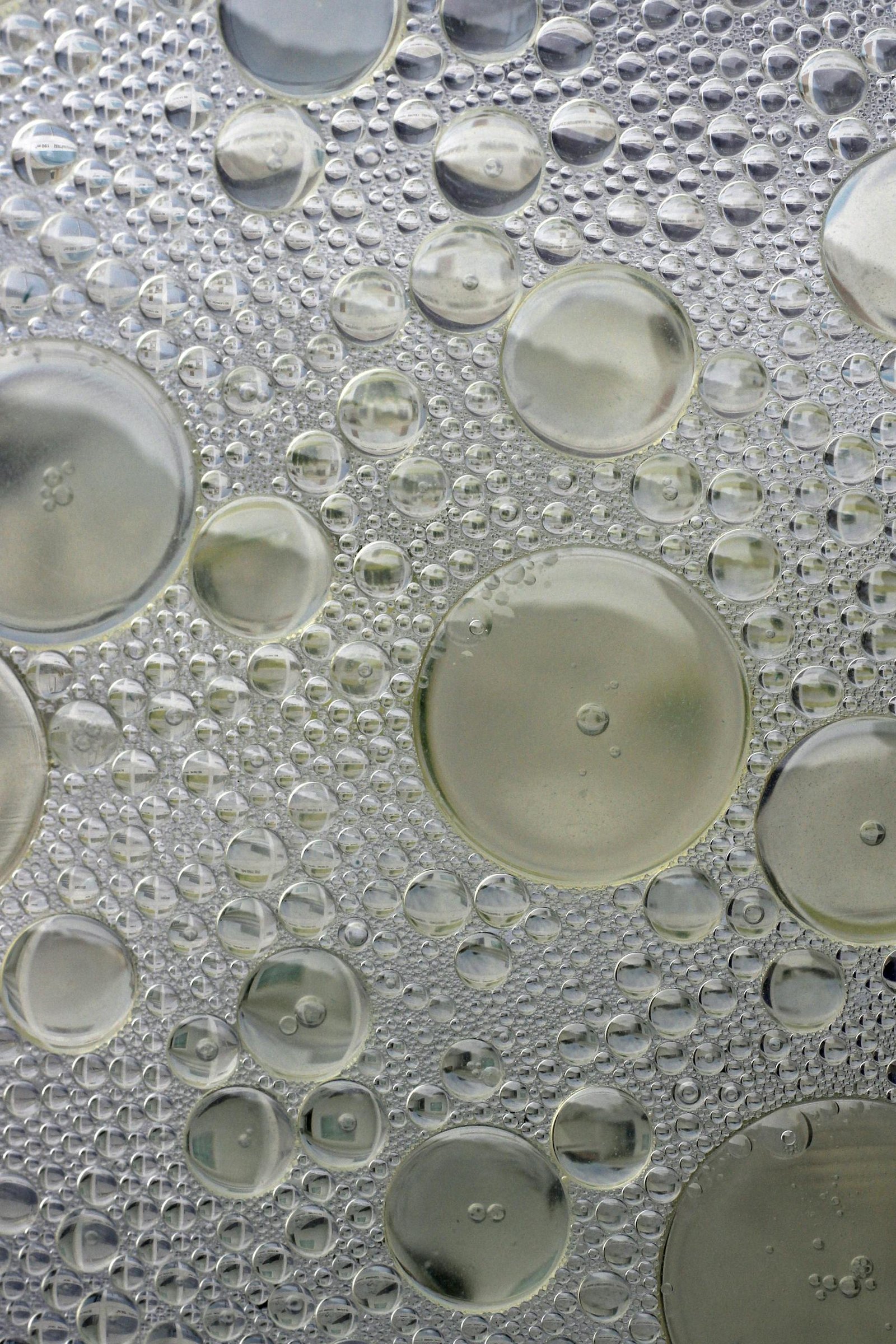 Close-up of oil and water bubbles creating an abstract pattern.