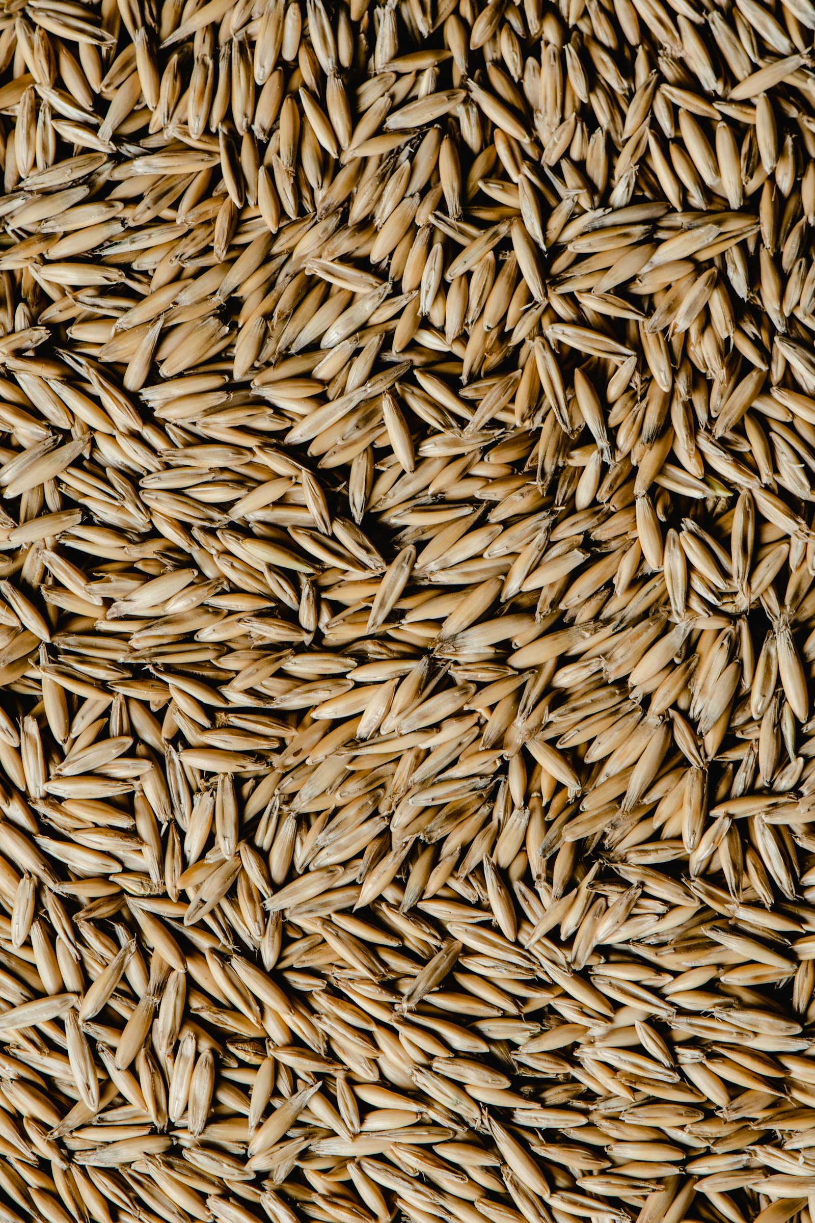Detailed top view of raw oat grains, showcasing texture and natural patterns.