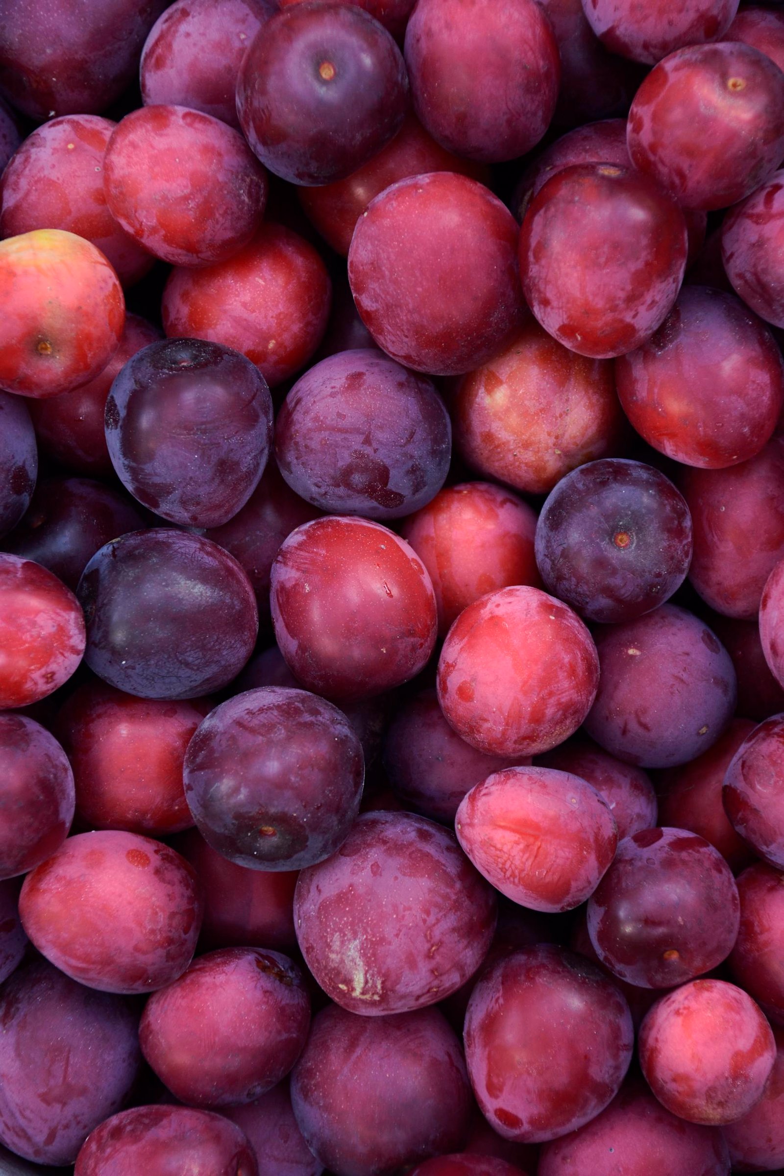Heap of Plums