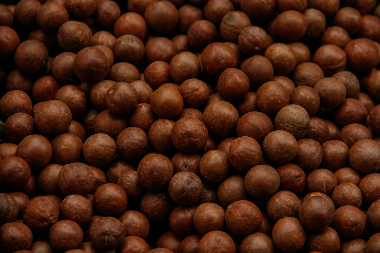 A detailed close-up image showcasing a textured pile of raw macadamia nuts in natural lighting.