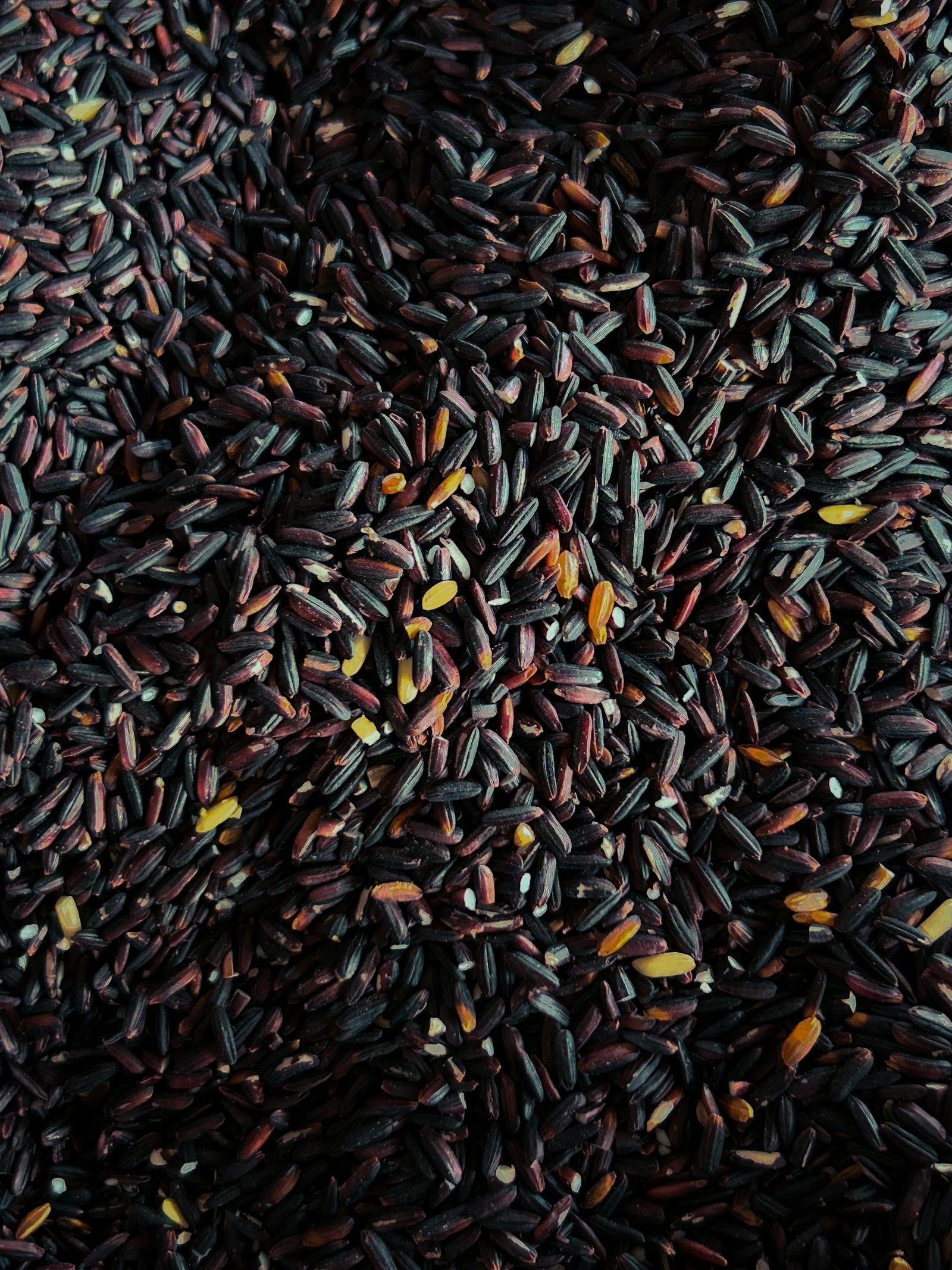 High quality close-up of organic black rice grains, showcasing texture and detail, sourced from Indonesia.