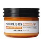 Propolis B5 Glow Barrier Calming Cream 1 BG