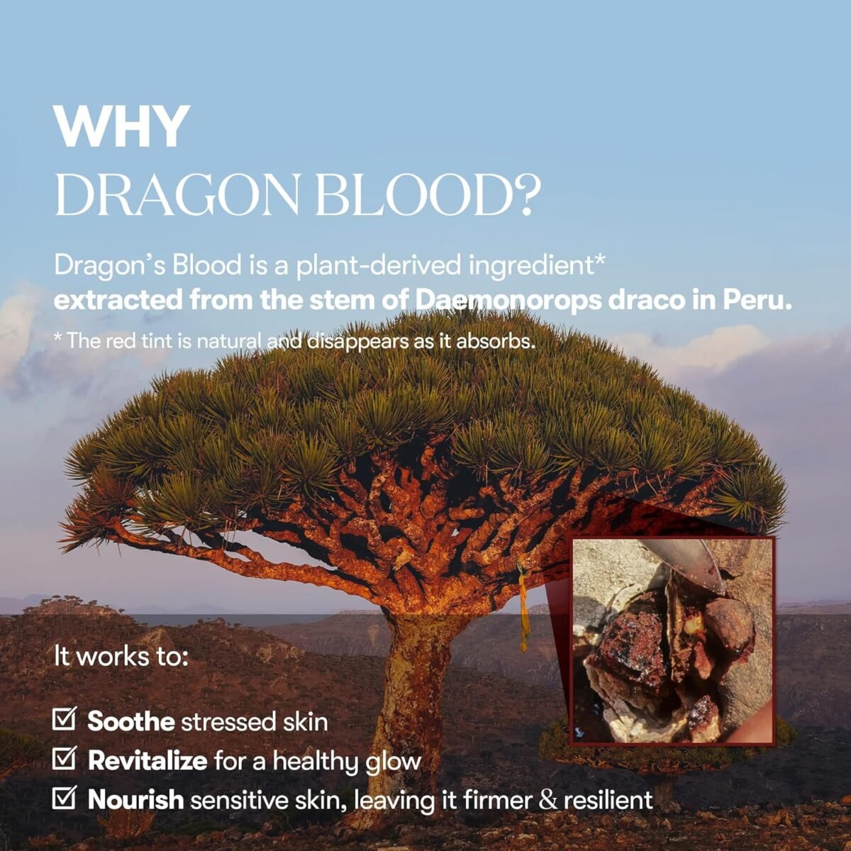 VT Cosmetics - Red Booster Reedle Shot 100_4 VT Cosmetics - Red Booster Reedle Shot 100_4