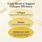 SUNGBOON EDITOR_Silk Peptide Intensive Lifting Ampoule_6